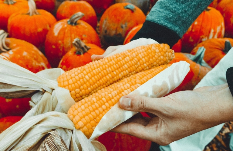 Photo de deux mains présentant de deux brins de maïs avec un fond coloré par les légumes orange