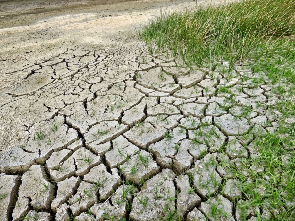 Les défis d’une agriculture « climato-intelligente »
