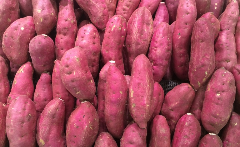 Pommes de terre, patates douces pourquoi les tubercules sont de